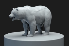 Marmor_Bear