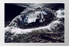 Max_Brunnen_04